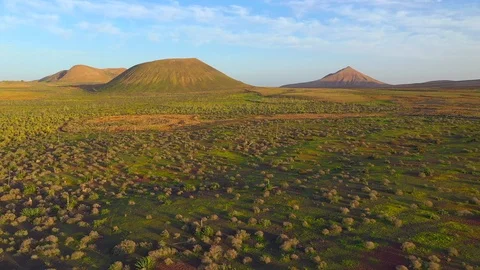 Volcano and aloe drone view in Lajares, Fuerteventura, Canary Island Stock-Footage 119588610