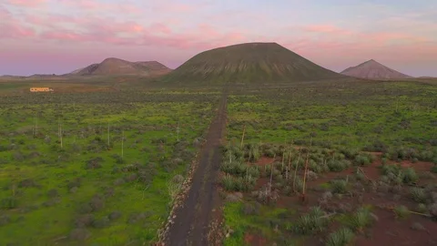 Volcano and aloe drone view in Lajares, Fuerteventura, Canary Island Stock Footage 119588711