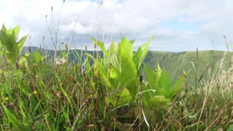 Volcano cauldron crater cabeço gordo faial azores portugal slow motion 4k Stock Footage