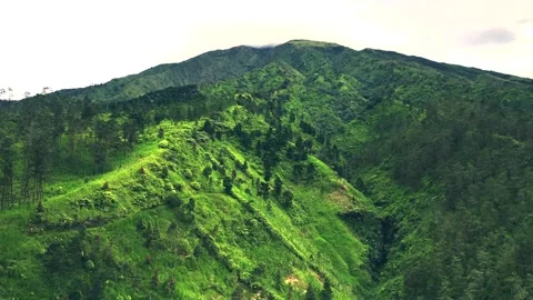 Volcano dormant with pine trees in spring Stock Footage 230136832