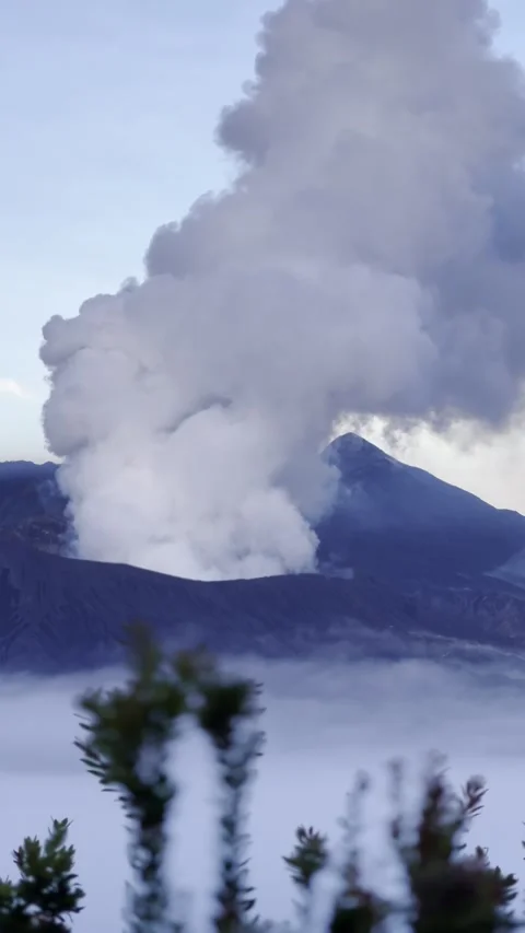 Volcano emits thick smoke with plants in foreground in East Java Indonesia Stock Footage 309076308