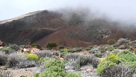 Volcano with fast-moving cloud inversion over succulents landscape Stock Footage 334975306