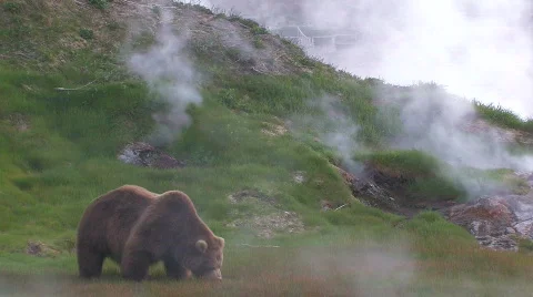 ON THE VOLCANO Stockbeeldmateriaal 706961