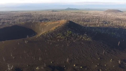 Volcano. Forest after a volcanic eruption. Burnt forest. The lava of the volcano Stock Footage 72656982