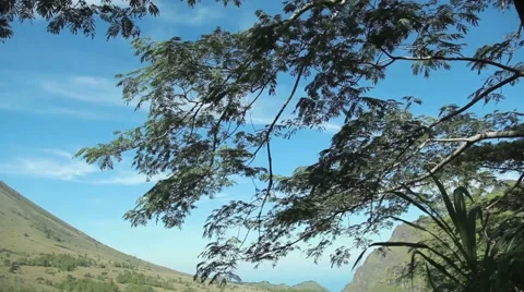 Volcano in Indonesia Stock Footage 44915975