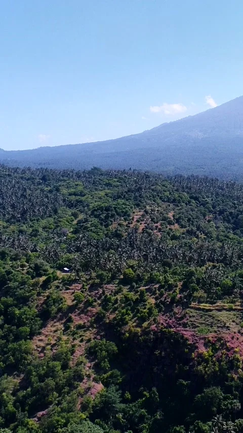 Volcano with its side covered in tropical vegetation, hill at the bottom Video stock 230284897