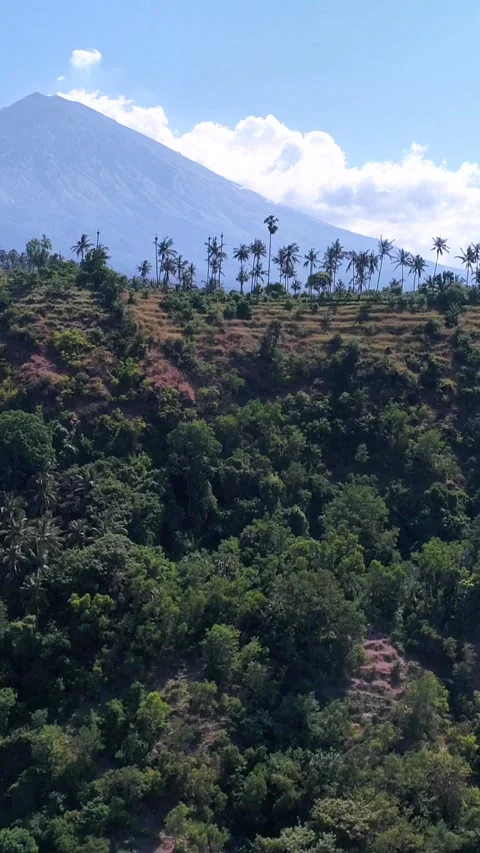 Volcano with its side covered in tropical vegetation, hill at the bottom Video stock 230285091