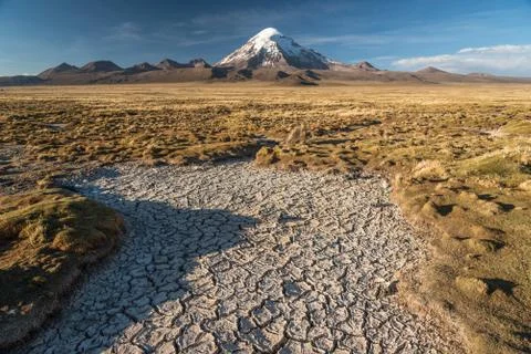 Volcano Nevado Sajama Stock Photos