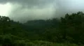 Volcano Rainforest HD Footage