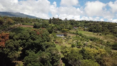 Volcano slope aerial view Video stock 88104253
