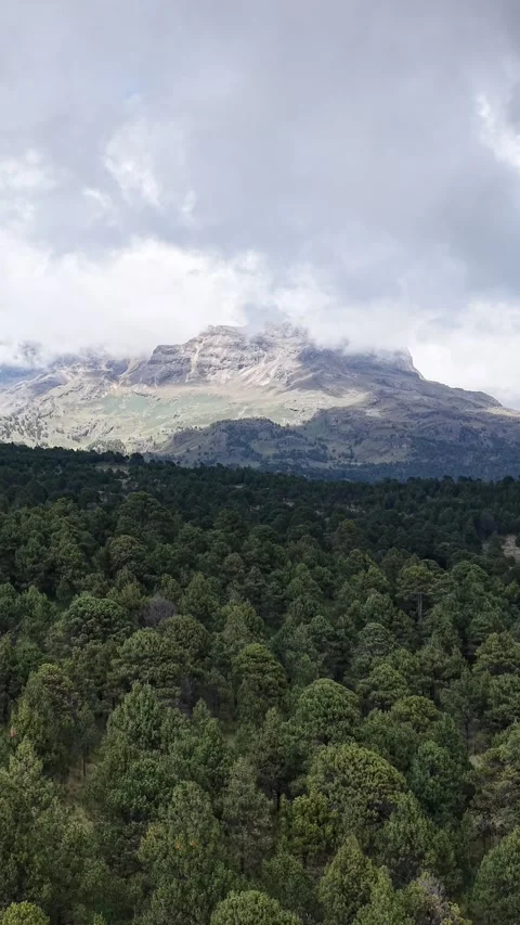 Volcano slopes and endless pine forest, aerial drone, Mexico Stock Footage 348236488