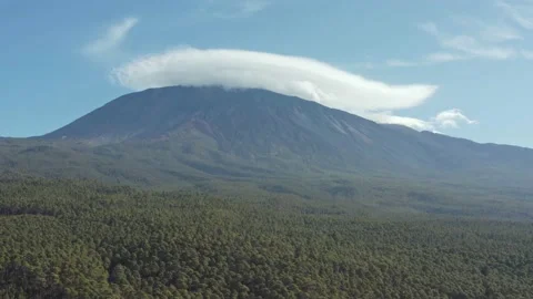 Volcano Teide with great pine trees forest and clouds at the top. Drone. 6 Vidéo 196597642