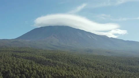 Volcano Teide with great pine trees forest and clouds at the top. Drone. 4 Video stock 196597650