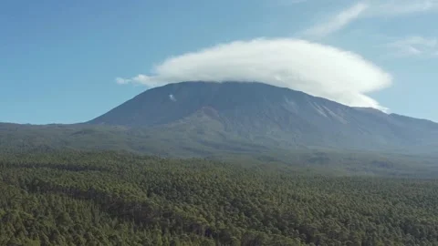 Volcano Teide with great pine trees forest and clouds at the top. Drone. 3 Video stock 196597676