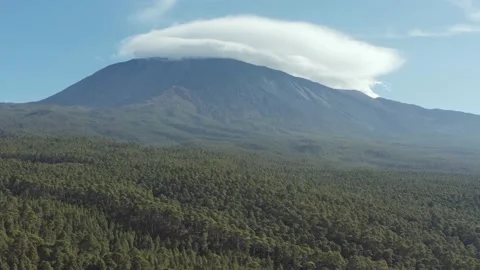 Volcano Teide with great pine trees forest and clouds at the top. Drone. 2 Stock Footage 196597688