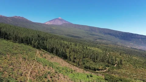 Volcano Teide with pine forest, Tenerife Spain Stock Footage 330271924