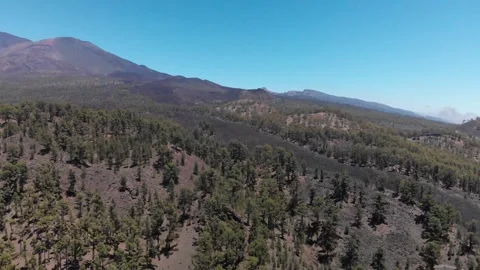 Volcano Teide with pine trees forest. Tenerife. Canary Islands. 4 Video stock 158497683