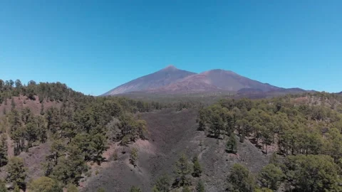 Volcano Teide with pine trees forest. Tenerife. Canary Islands. 5 Stock Footage 158498329
