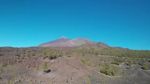 Volcano Teide with pine trees forest. Tenerife. Canary Islands. 6 Stock Footage 158498999