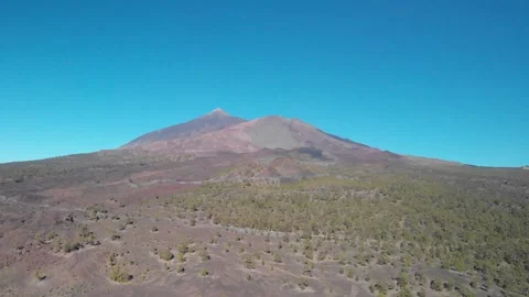 Volcano Teide with pine trees forest. Tenerife. Canary Islands. 7 Video stock 158499043