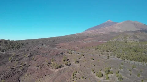 Volcano Teide with pine trees forest. Tenerife. Canary Islands. 8 Video stock 158499072