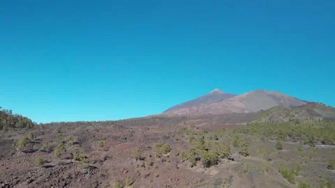 Volcano Teide with pine trees forest. Tenerife. Canary Islands. 9 Video stock 158499098