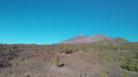 Volcano Teide with pine trees forest. Tenerife. Canary Islands. 1 Stock Footage 158499104
