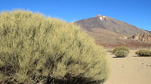 Volcano Teide in Teide National Park Stock Footage 34129433