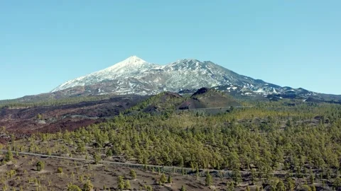 Volcano Teide. Tenerife. Pine trees and snow. Aerial. Drone. Stock Footage 196588642