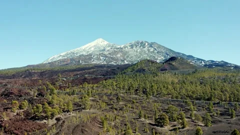 Volcano Teide. Tenerife. Pine trees and snow. Aerial. Drone. Stock Footage 196588872