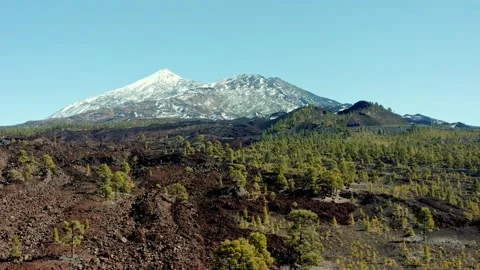 Volcano Teide. Tenerife. Pine trees and snow. Aerial. Drone. Video stock 196588894