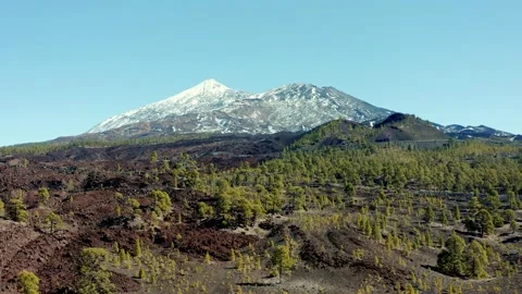 Volcano Teide. Tenerife. Pine trees and snow. Aerial. Drone. Stock Footage 196589098