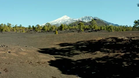 Volcano Teide. Tenerife. Pine trees and snow. Aerial. Drone. Stock Footage 196590437