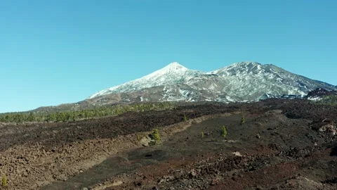Volcano Teide. Tenerife. Pine trees and snow. Aerial. Drone. Stock Footage 196591082