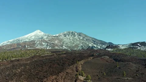 Volcano Teide. Tenerife. Pine trees and snow. Aerial. Drone. Stock Footage 196592201