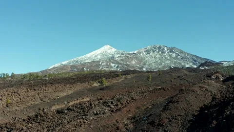 Volcano Teide. Tenerife. Pine trees and snow. Aerial. Drone. Video stock 196592355