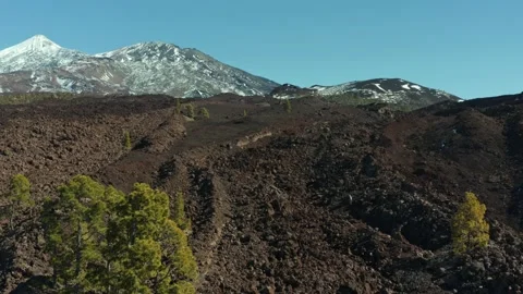Volcano Teide. Tenerife. Pine trees and snow. Aerial. Drone. Stock Footage 196592570