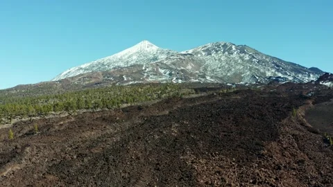 Volcano Teide. Tenerife. Pine trees and snow. Aerial. Drone. Stock Footage 196592638
