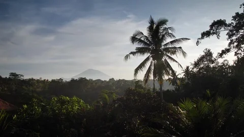 Volcano views from the lodge 49 Stock Footage 264574174
