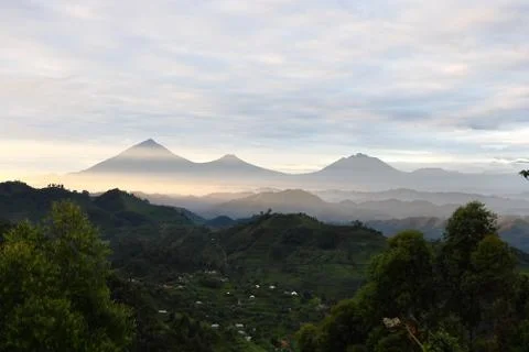 Volcanoes on the border of Uganda 库存照片
