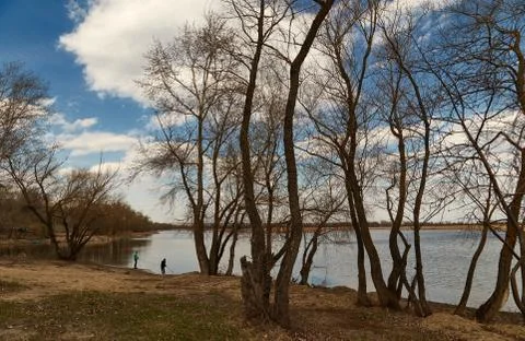 The Volga landscape through trees Stock Photos