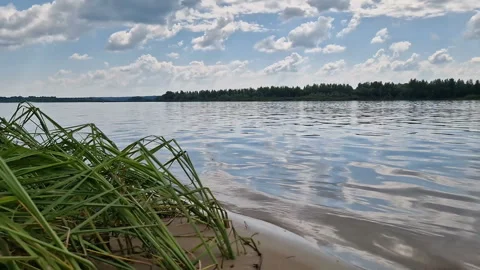 The Volga River with a sandy beach and clear water. Stock Footage 263304201