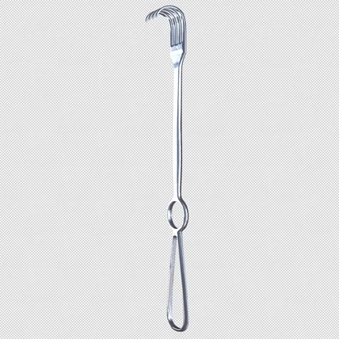 Volkmann 4-Prong Retractor 스톡 동영상 316731926