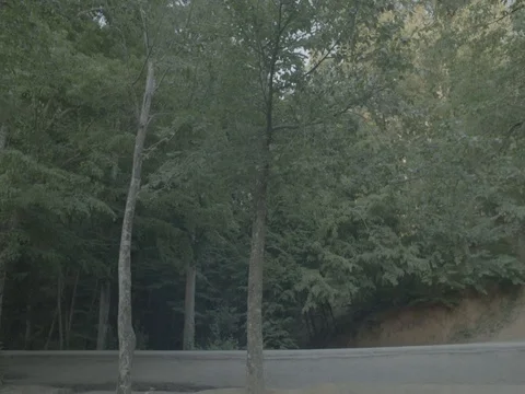 Volkswagen Bus in the forest Stock Footage 84969627