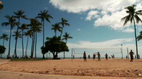 Volleyball in Beach Park Stock Footage 604615
