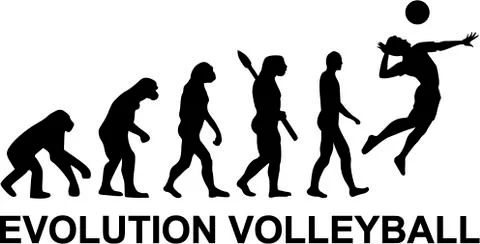 Volleyball Evolution イラスト素材
