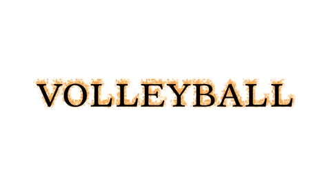 Volleyball fire text effect white isolat... | Stock Video | Pond5