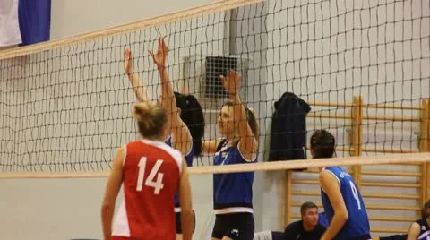 Volleyball 動画素材 10774580