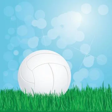 Volleyball on grass Stock Illustration