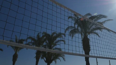 Volleyball net with palms view Stock Footage 123524038